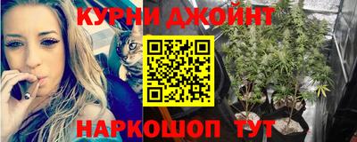 прущие грибы Моздок