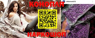 гашик Можга
